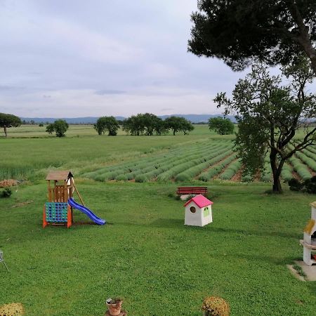 Agriturismo Susanna E Atria Bibbona Eksteriør billede