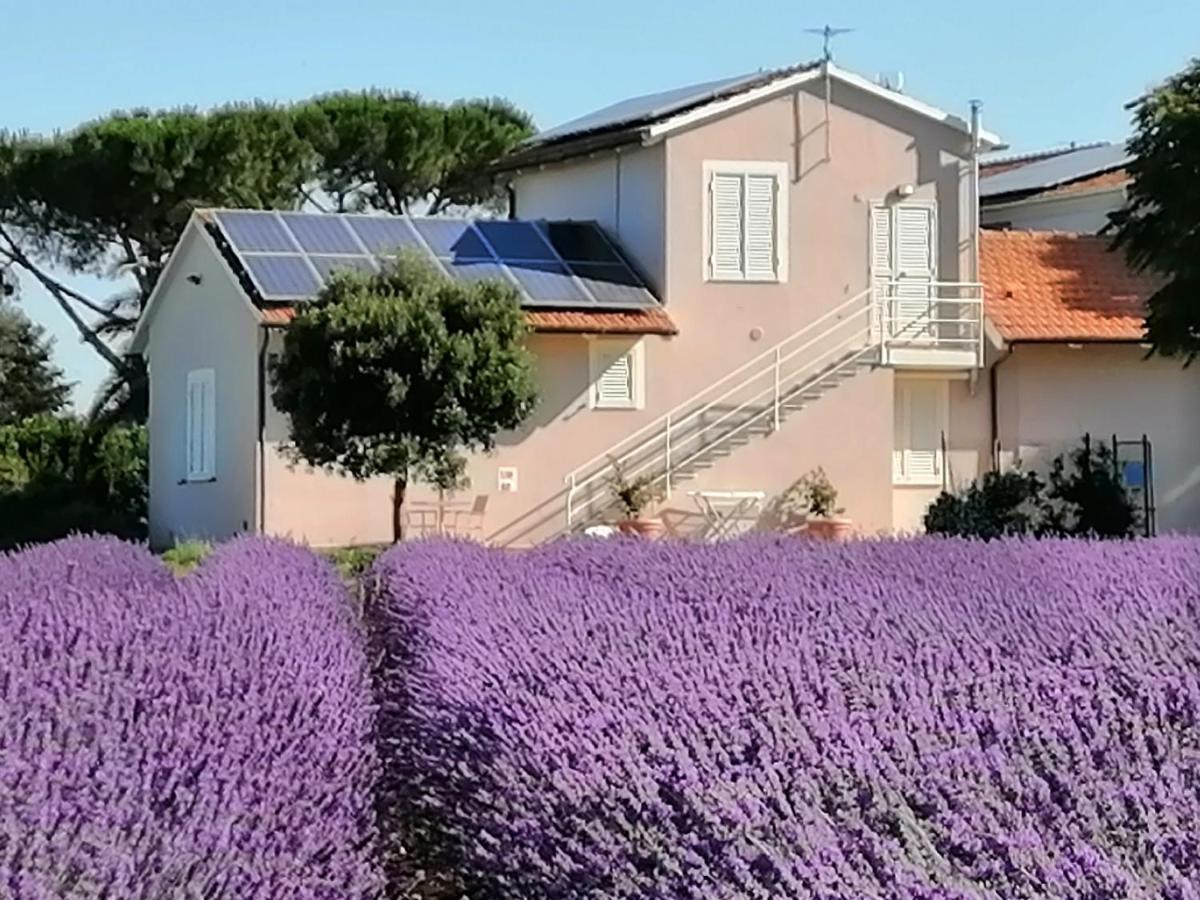 Agriturismo Susanna E Atria Bibbona Eksteriør billede