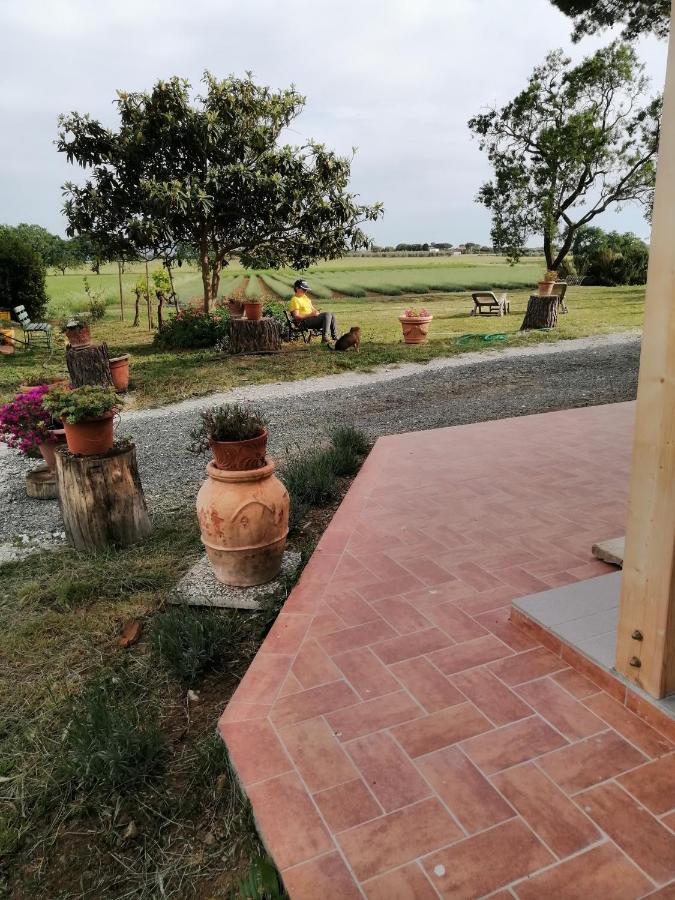 Agriturismo Susanna E Atria Bibbona Eksteriør billede