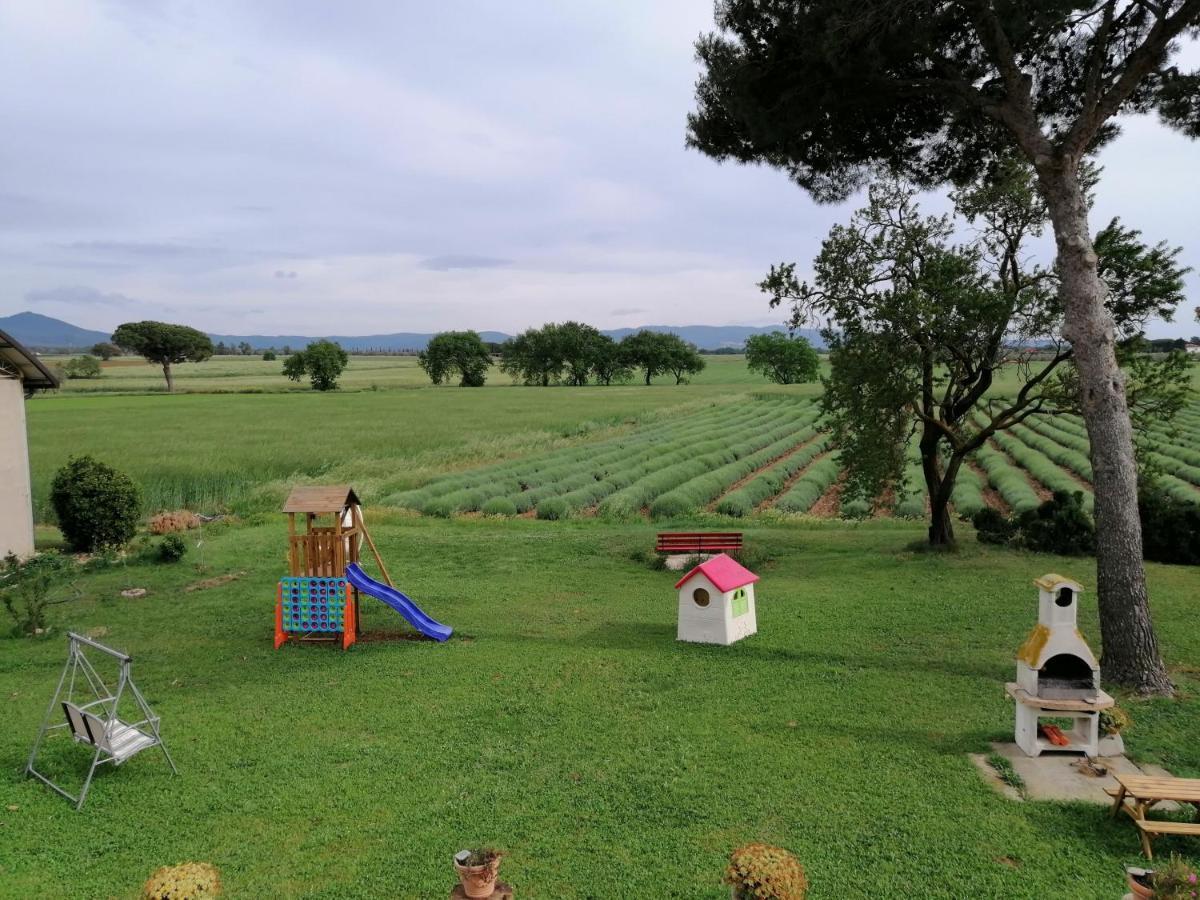 Agriturismo Susanna E Atria Bibbona Eksteriør billede