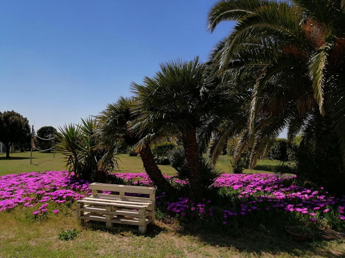Agriturismo Susanna E Atria Bibbona Eksteriør billede