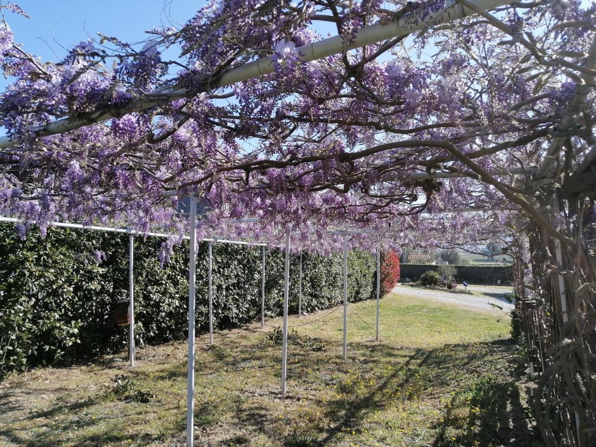 Agriturismo Susanna E Atria Bibbona Eksteriør billede